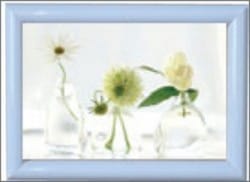 ߥ˥ե졼S Ӥξ֡սꡧ30:557840