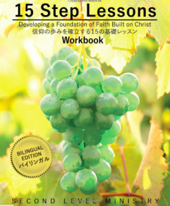 15 STEP LESSONS Workbook �����ǡ����Ĥ���ߤ��Ω����15�δ��å�å����801731��