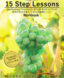 15 STEP LESSONS Workbook �����ǡ����Ĥ���ߤ��Ω����15�δ��å�å����801731��