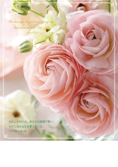 ��FP1920A �ե꡼�ץ�������ѻ�(50��)��ʥ󥭥�饹����53202��