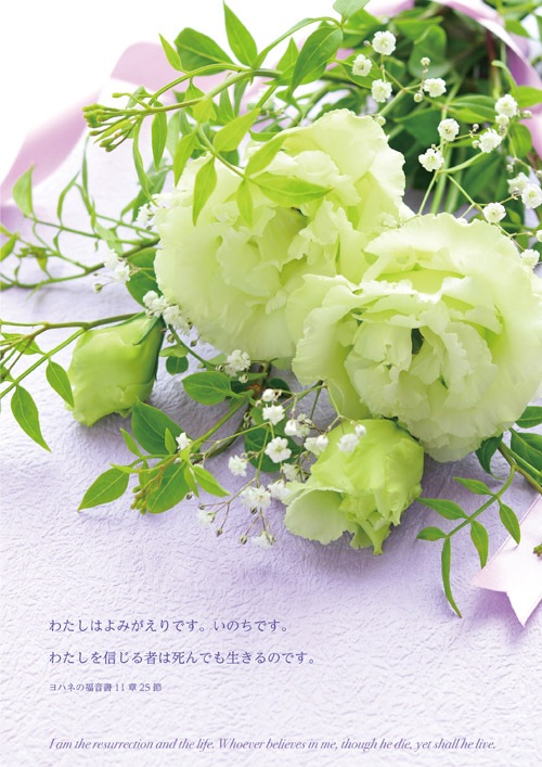 ��EP1920B Ĥ���ѥץ�������ѻ�(50����)�ȥ륳�����祦����53409��