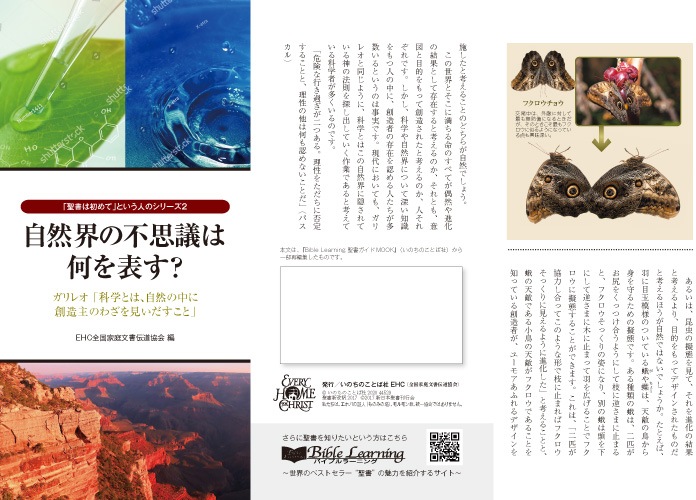 トラクト 比較してみた世界三大宗教 50枚入 （44520）（いのちのことば