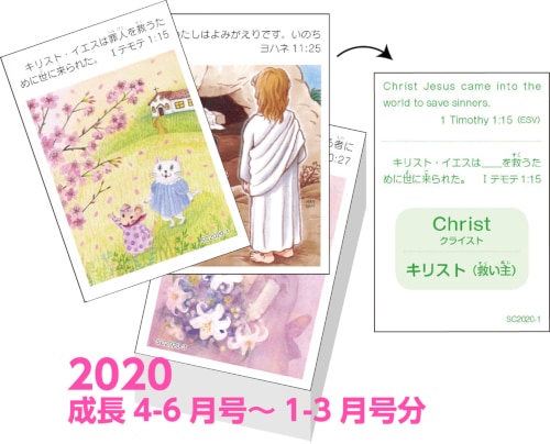 Ʀ������2020�ʥХ���󥬥�� 52����1�祻�åȡ���60237��