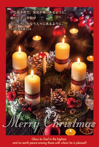 ���ꥹ�ޥ��ϥ��� X20B(10������)�륫2:14����59889��