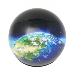 饹ڡѡ NMS-21C55402