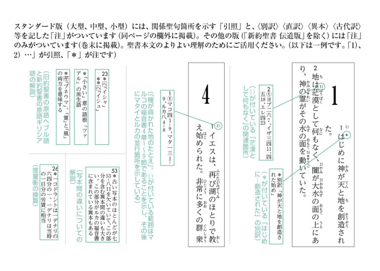 新改訳2017 中型スタンダードえんじ NBI-20E （45790）（新改訳2017