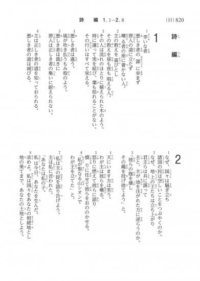 SI48 小型革装聖書 聖書協会共同訳 （750612）（日本聖書協会