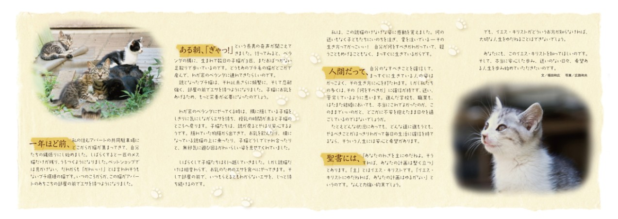 新版 猫の生きかた 人の生きかた（30部入） （44553）（いのちのことば