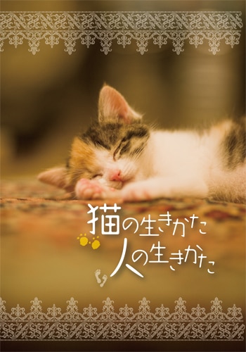 新版 猫の生きかた 人の生きかた（30部入） （44553）（いのちのことば