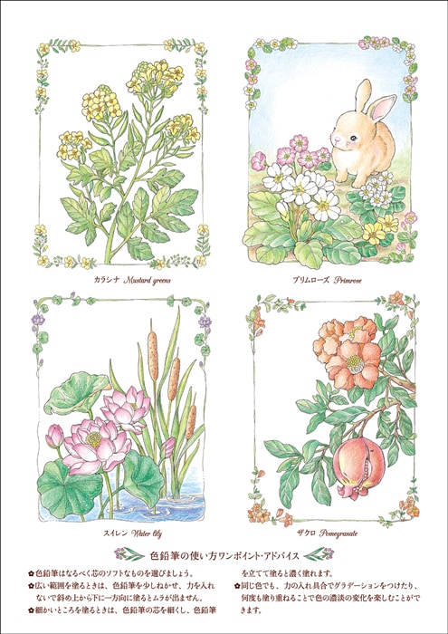 詩篇と共に楽しむ 大人の塗り絵vol 2 Frp21pb すべての商品 Wings いのちのことば社公式通販サイト