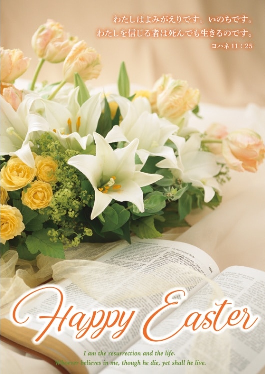 ���������� �ϥ�����10������ˡ�����Ȥ��Υ���󥸡�PP22E����50359��