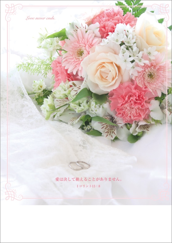 TB22WP2 �뺧�ץ�������ѻ�(30��)�ԥ󥯥֡�������50361��