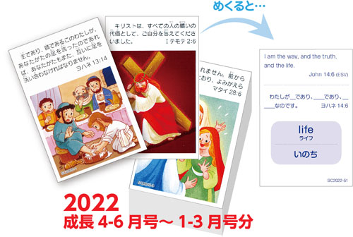 Ʀ2022ʥХ󥬥 521祻åȡ60239