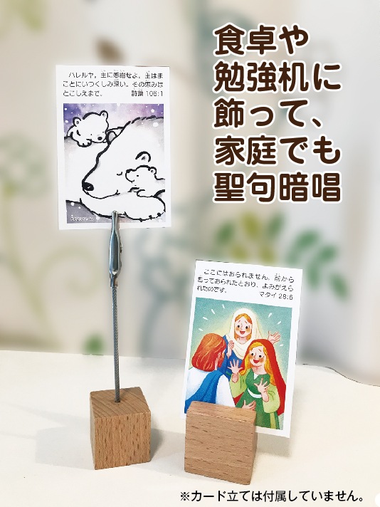 豆カード2022（バイリンガル） 52週×1枚セット （60239）（いのちの