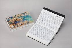 �Σɣ������ȡ��ե�åץХå���