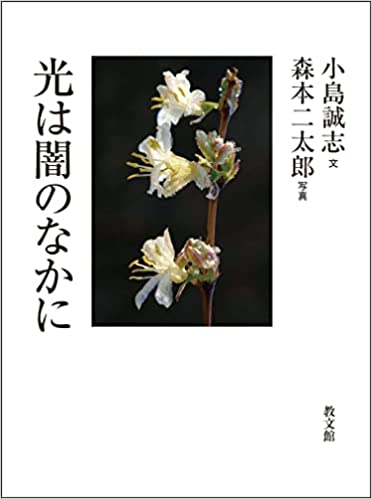 ���ϰǤΤʤ���