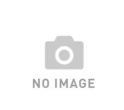 �������쥤���������ϣ�