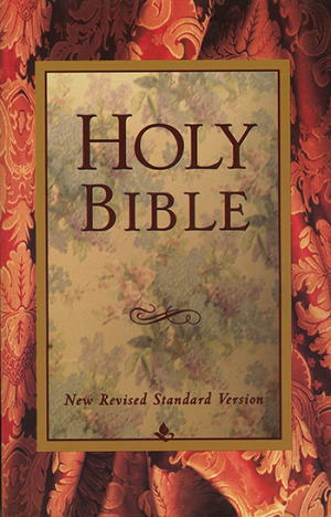 英語NRSV(F)6326（日本聖書協会） | 取り寄せ商品（5～7営業