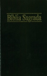 英語聖書 NLT 124643 （802281）（日本聖書協会） | 聖書