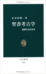 聖書 ラテン語 ウルガタ訳 2冊セット 聖書 ラテン語 ウルガタ訳 2冊セット 聖書 ラテン語 ウルガタ訳