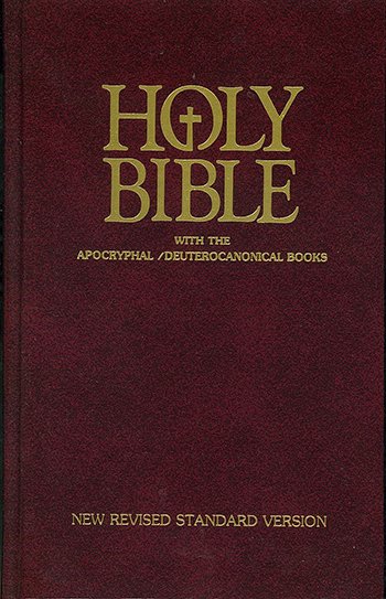 英語聖書NRSDCO53（4912）（日本聖書協会） | 取り寄せ商品（5～7営業