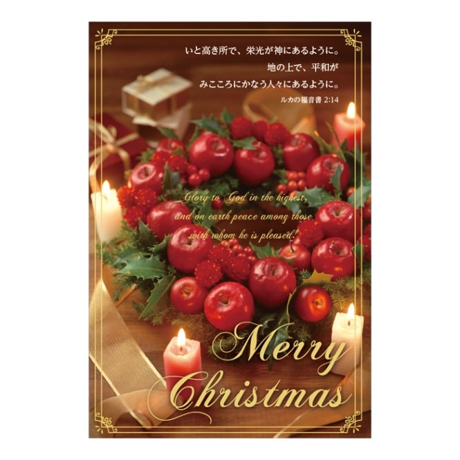 ���ꥹ�ޥ��ϥ��� FRP22X2(10������)�륫2:14����56097��