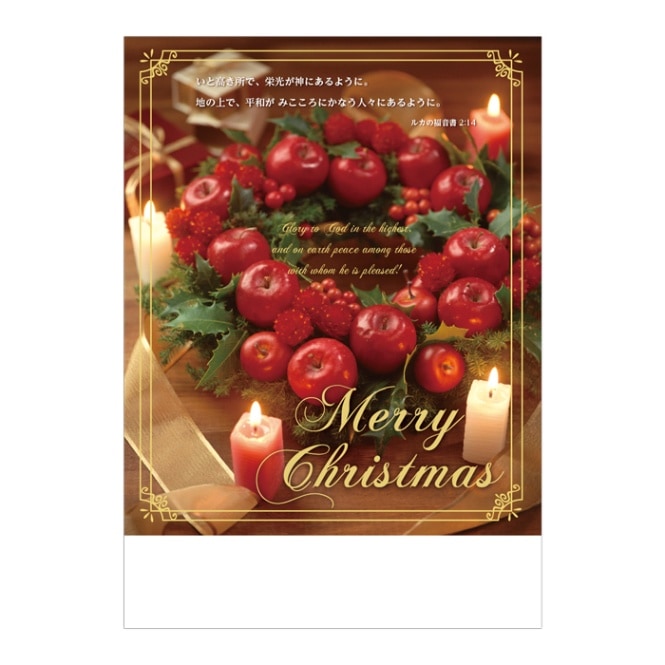 ���ꥹ�ޥ��ץ�������ѻ� FRP22XP2��50������˥륫2:14����56091��