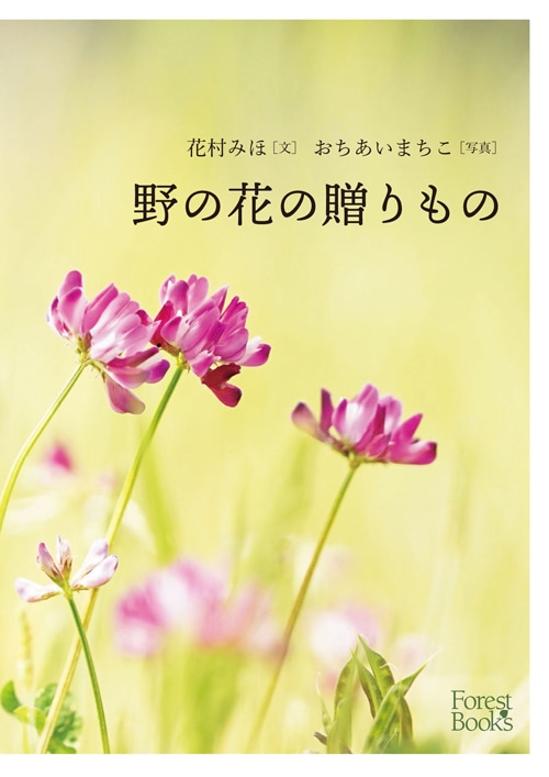 �����ʡ���β֤�£���Ρ���17291��