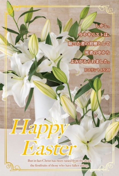 �����������ϥ���(10������)����TB23E2����50015��