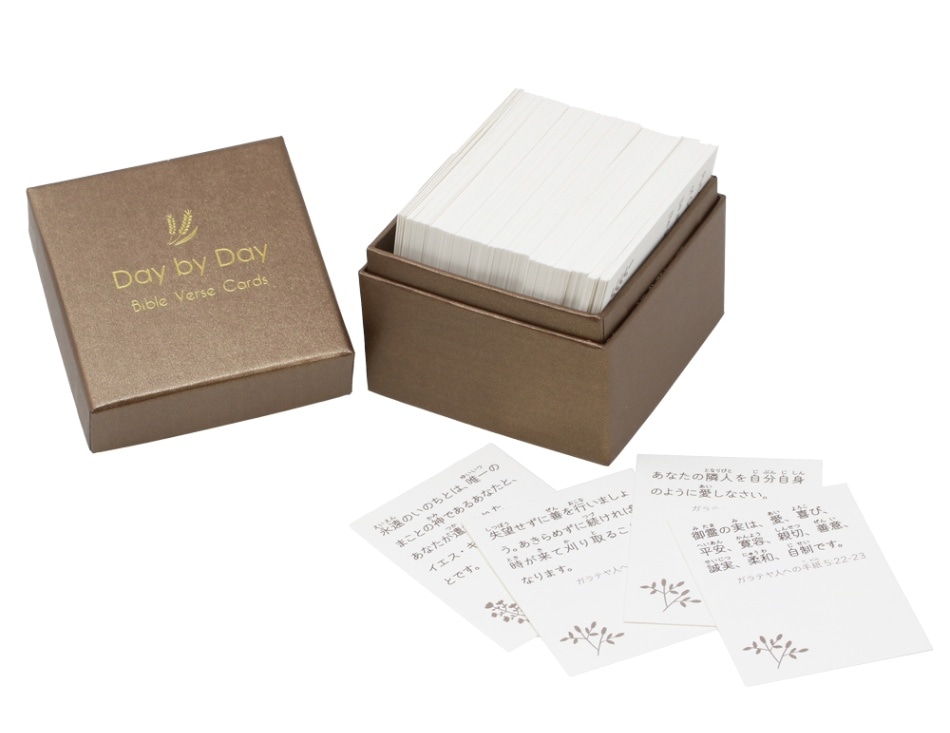 Day by Dayみことばカードボックス(140枚入り) 23FR-TS1 （50028