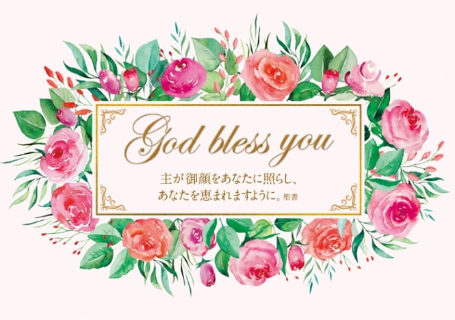 ���꡼�ƥ��󥰥����ɡ������դ��˥������ե졼�� GJ23GC01����50113��