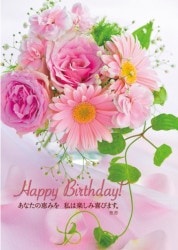 �С����ǡ������ɡ������դ��˥ԥ󥯤β�« GJ23BC01����50111��