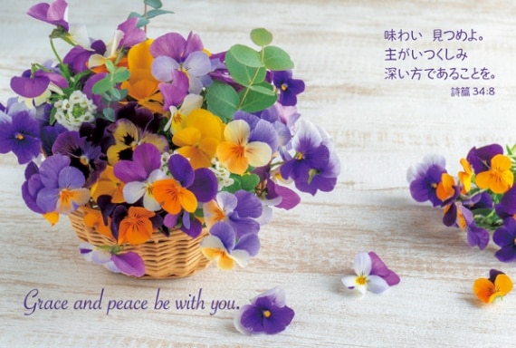 ե꡼ϥ ӥ 10 VF23F0250058