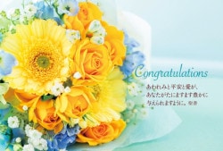 �����ϥ��� �������Х� 10������ VF23T02����50056��