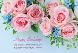 �����ϥ��� �Х�ȥ֥롼������ 10������ VF23T01����50055��