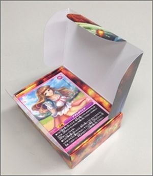 FIRE BIBLE ファイヤーバイブル 注解付聖書| 聖書やキリスト教書籍の