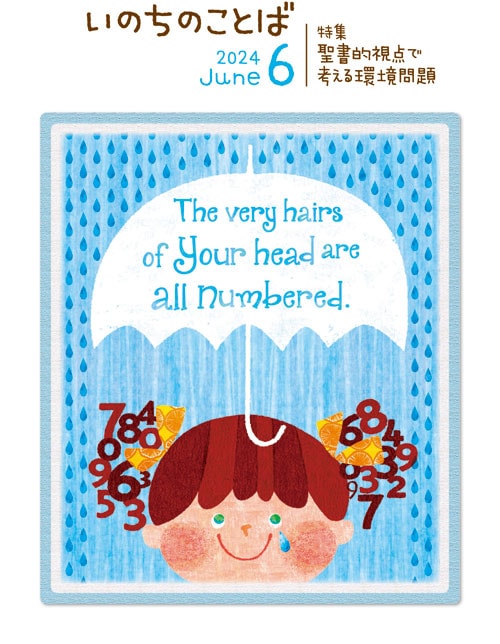 �ڿ����ʡۤ��Τ��Τ��Ȥ� 6��桡��28986��