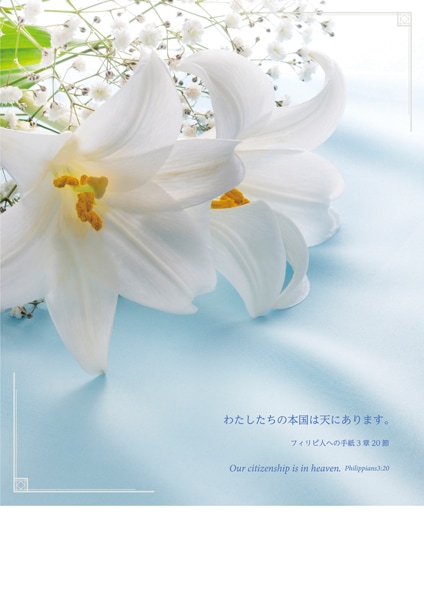 Ĥ���ץ�������ѻ�(30��) ���Ȥ�������J-TB22SP7 ����Ʊ�� ��50858��