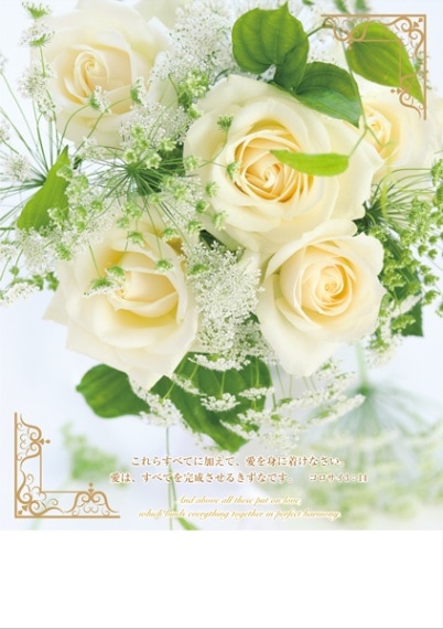 結婚プログラム用紙(30枚)バラとレース J-TB22WP1 新共同訳 （50850