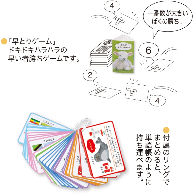 かわいいどうぶつ 暗唱聖句カード&ゲーム(新共同訳) （50759）（いのち 