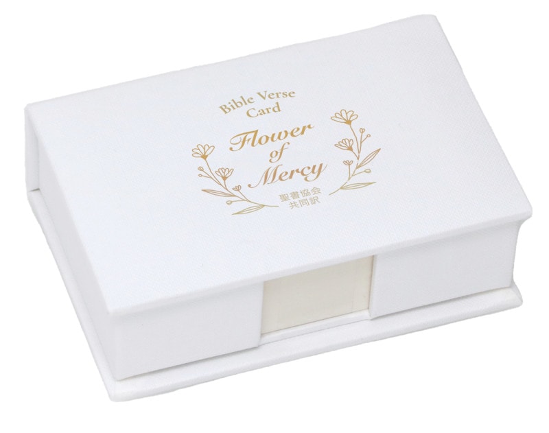 新聖書辞典 新装版 新聖書辞典 新装版