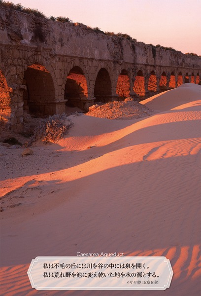 イスラエルの写真と聖句の日めくり「聖地を巡る」 K-FR23HM3 （50760