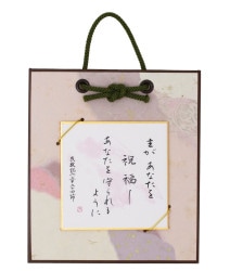 ƦݡʡJ-TSD23DS250799