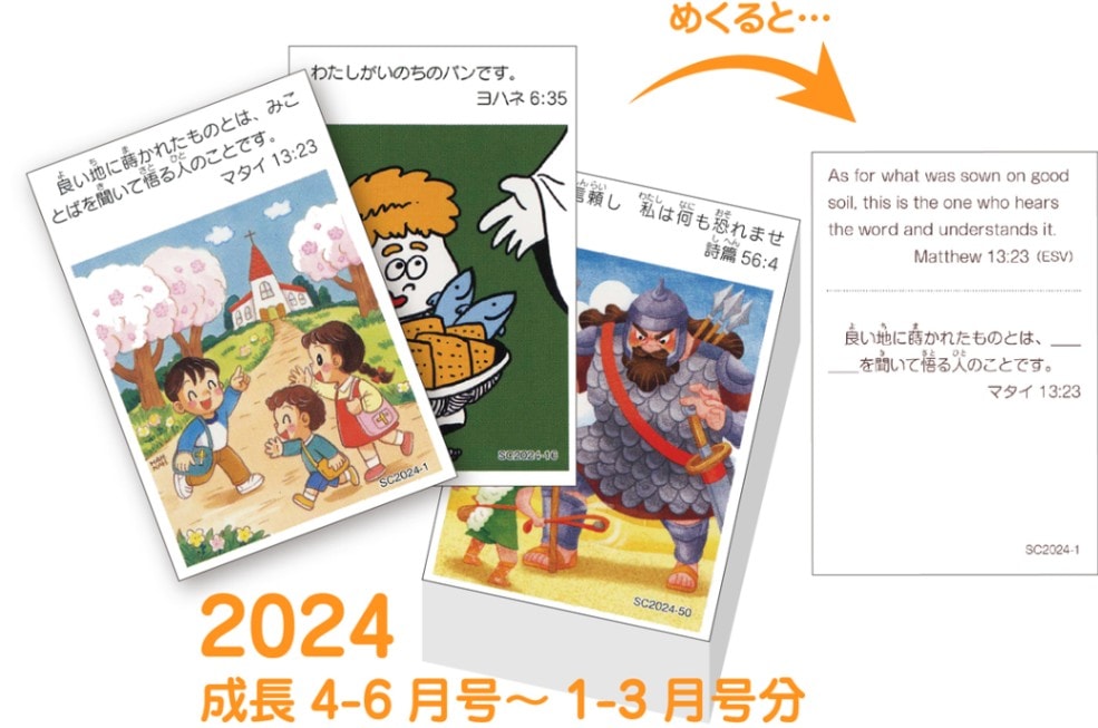 豆カード2024（バイリンガル） 52週×1枚セット （60250）（いのちの