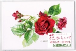 ポストカードブック Flowers Vol.2 K-SN24PB （55994）（いのち