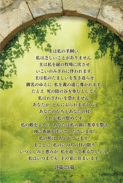 初版/美品/ハガキ付き】聖書がわかれば世界が読める 石井 希尚 B