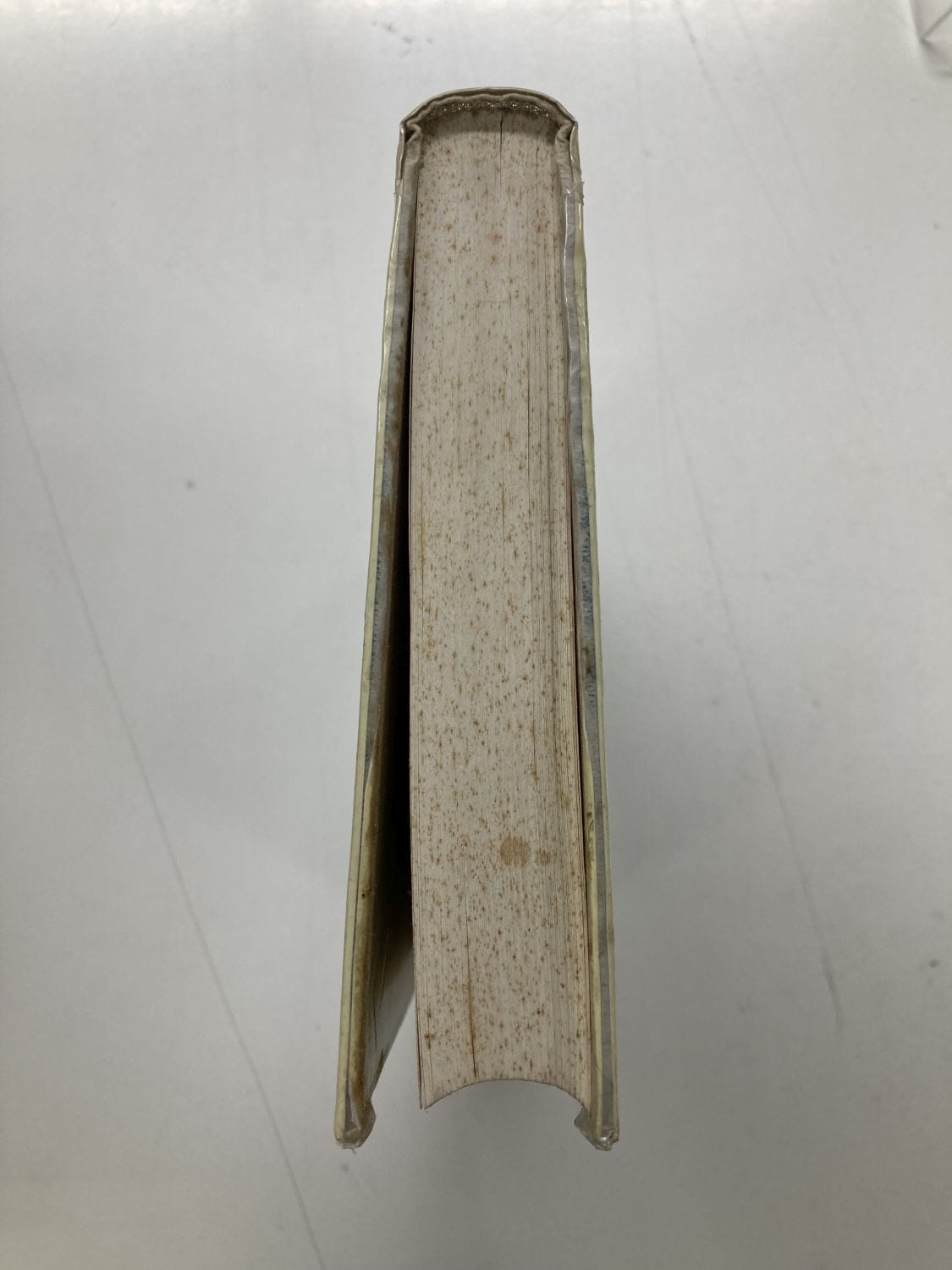 中古本】神曲 （891003）（古書課） | ☆中古本☆（オアシス古書部