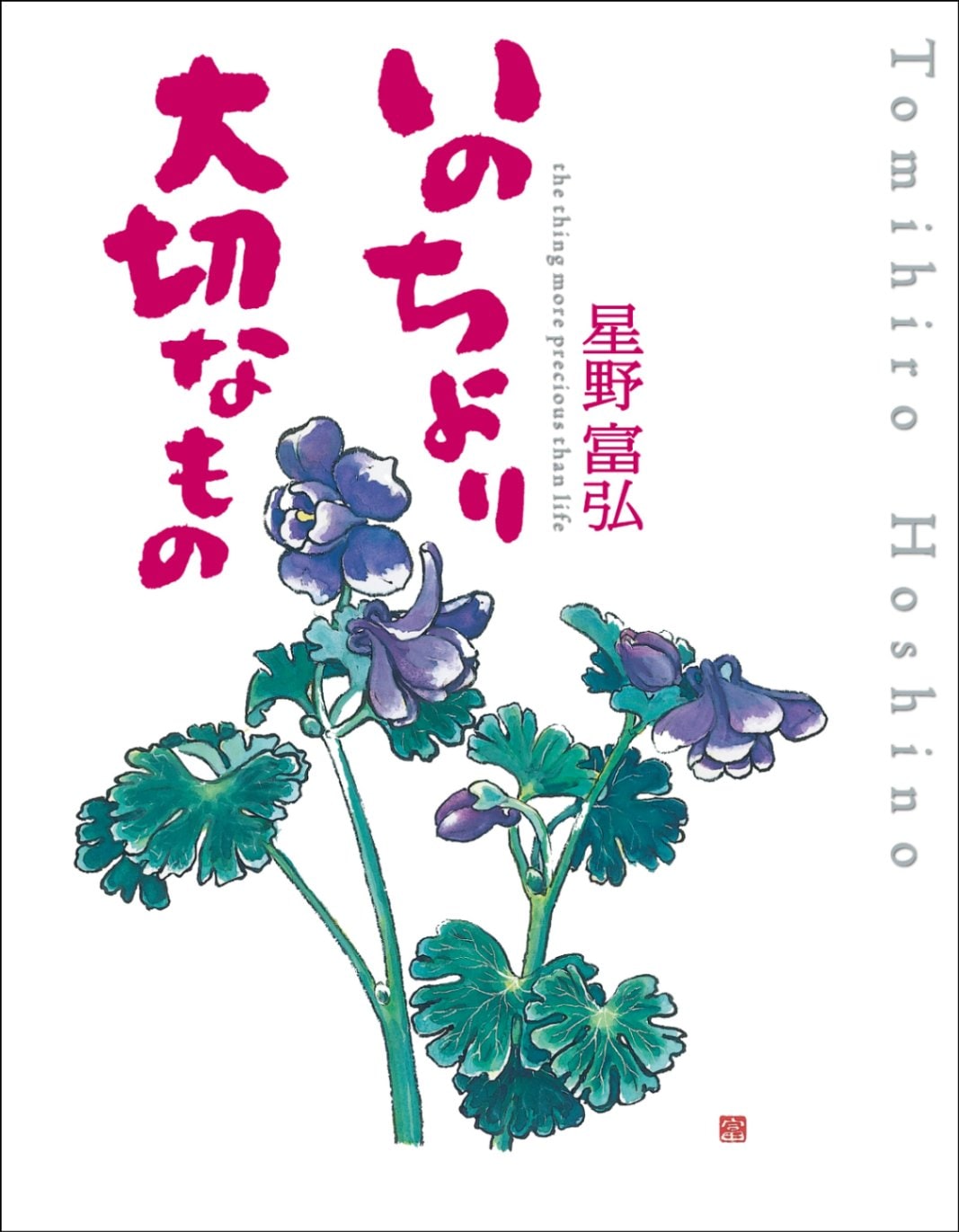 河野通紀、西宮の詩、希少な画集より、新品高級額・額装付、状態良好 宮西東洋雄、、希少な画集より、新品高級額・額装付、状態良好、送料無料、