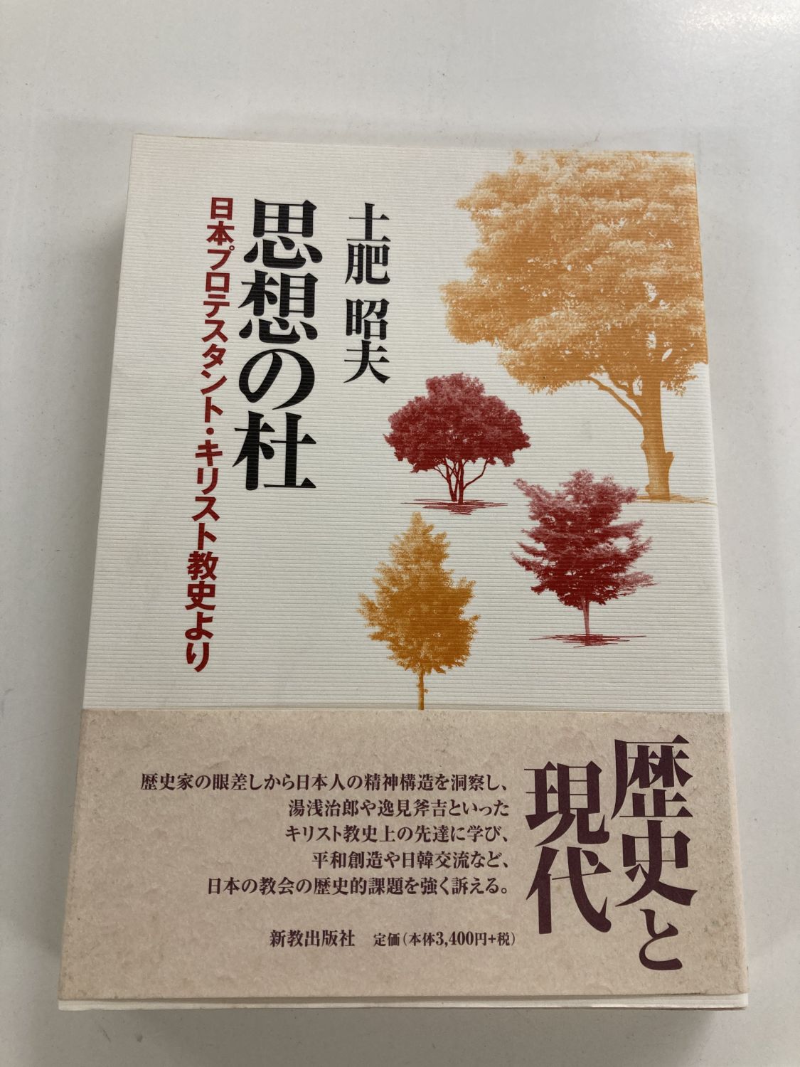キリスト教思想史入門-歴史神学概説 (オンデマンド版) キリスト教神学