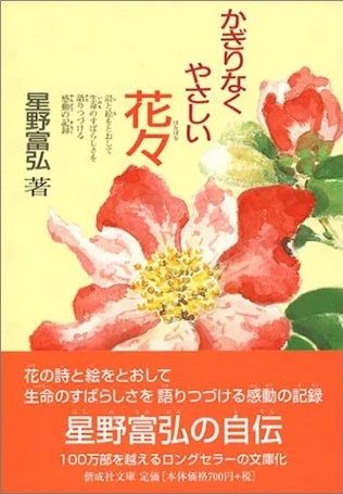 かぎりなくやさしい花々（文庫版）（新価格） （802333）（偕成社